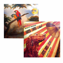 【日出】 精品茶葉 月朦朧鳥朦朧 台灣直送 (2月1日截單, 2月11-12日出貨)