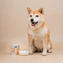 柴犬坐在淺米色背景前，旁邊有一罐幼犬專用奶粉和一碗白色奶液.