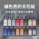 【Renata 蕾娜塔】彩染補色劑系列 250ml 補色洗頭水 (下單後2-3個工作天出貨)