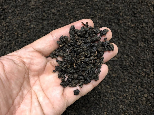 【芯茶濃】炭焙烏龍-四兩 150g｜台灣直送 (下單後5-7個工作天出貨)