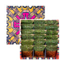 【日出】 土鳳梨酥禮盒裝18顆 台灣直送 (下單後2-3個工作天出貨)