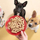 手持紅色盤子，盤內滿滿犬用凍乾主食餐，背景有兩隻注視食物的狗狗.