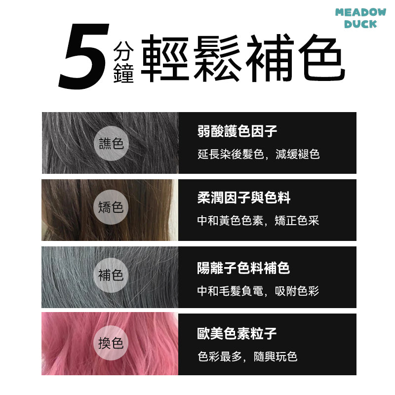【Renata 蕾娜塔】彩染補色劑系列 250ml 補色洗頭水 (下單後2-3個工作天出貨)