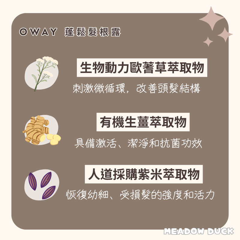 【Oway】蓬鬆髮根露 160ml (下單後2-3個工作天出貨)