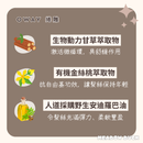 【Oway】捲雕 240ml (下單後2-3個工作天出貨)