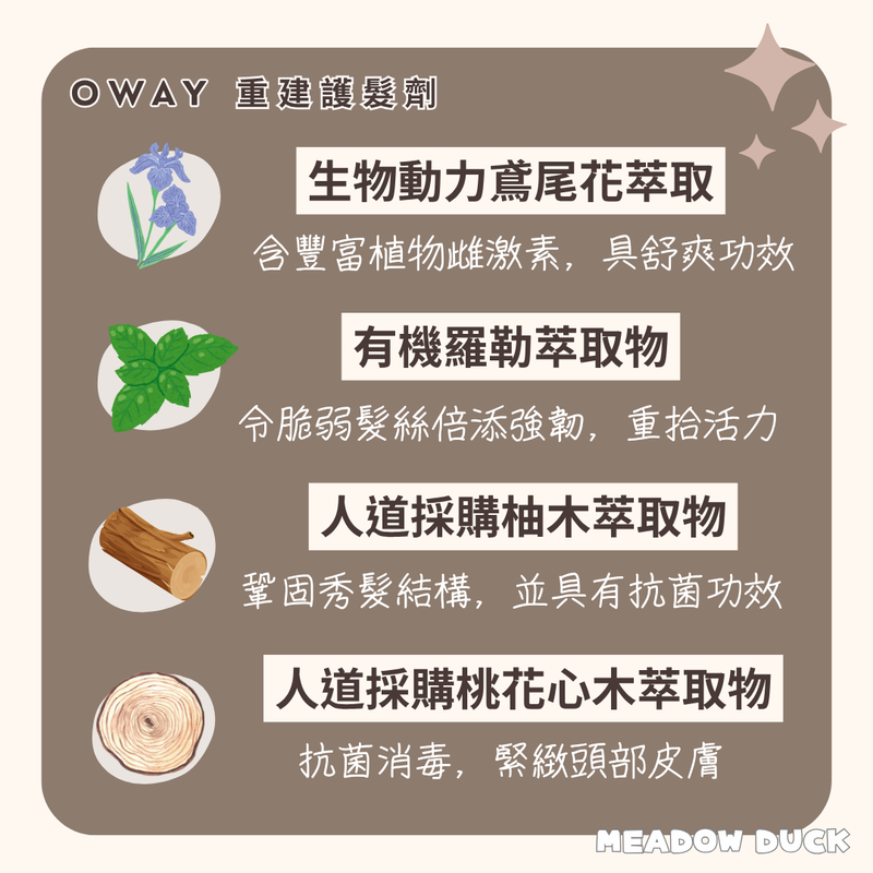 【Oway】重建護髮劑 (下單後2-3個工作天出貨)