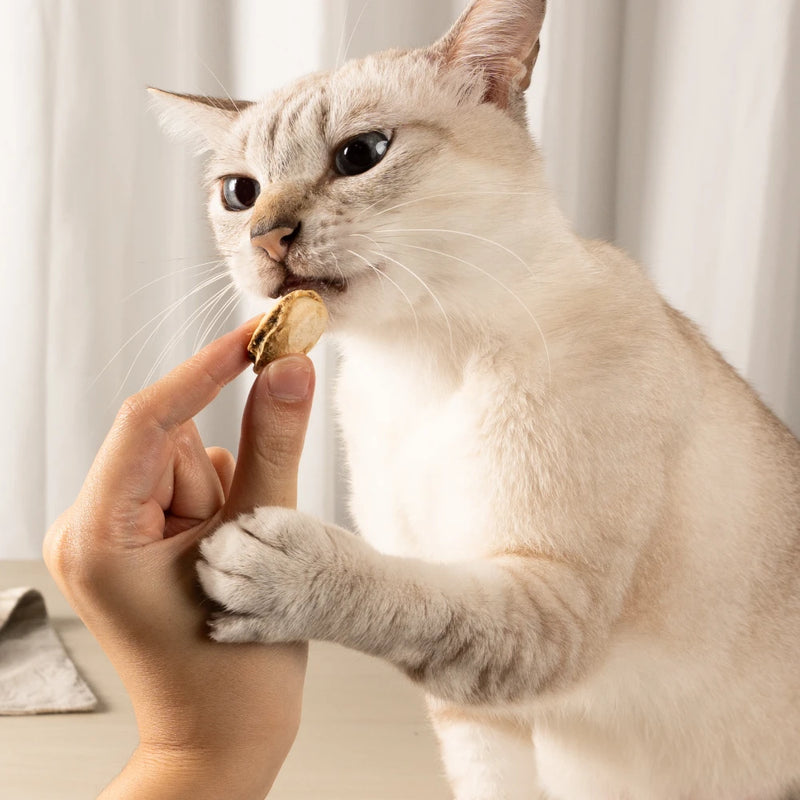 【怪獸部落】怪獸咔滋 扇貝牛肉丁 28g (下單後3-5個工作天出貨)