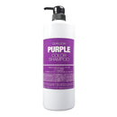 【Fiole 瀧川】露西亞矯色髮露 - 極光紫 矯色洗頭水 (下單後2-3個工作天出貨)