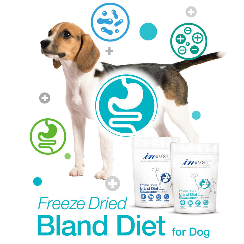 【IN-Plus】IN-Vet 犬用醫護腸胃處方(粉劑型) 170g (下單後5-7個工作天出貨)