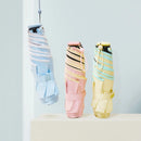 【Rain Love x 汪の小圓麵包坊】插畫家聯名 防曬輕棉花羽毛傘 台灣製造MIT (下單後7-9個工作天出貨)