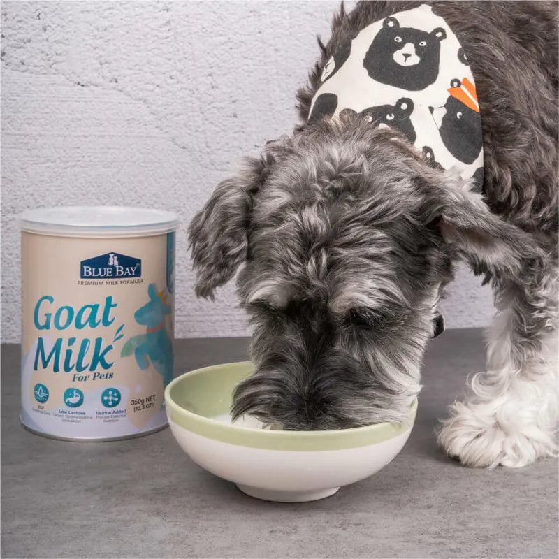 【倍力】倍力頂級羊奶粉-狗貓奶粉 (下單後5-7個工作天出貨)