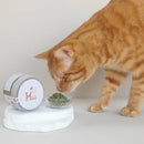 【Hyperr超躍】A級嫩葉 紓壓貓草 (下單後3-5個工作天出貨)