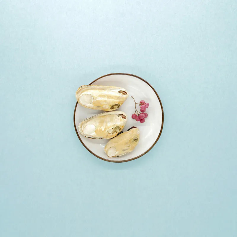 【KiWiPet】綠唇貝 犬貓凍乾零食 40g (下單後3-5個工作天出貨)