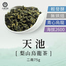 【六奉茶莊】梨山天池烏龍茶-二兩 75g｜台灣直送 (下單後5-7個工作天出貨)