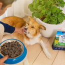 【ZIWI 巔峰】經典系列96%鮮肉狗糧-鹿肉 1kg (下單後3-5個工作天出貨)