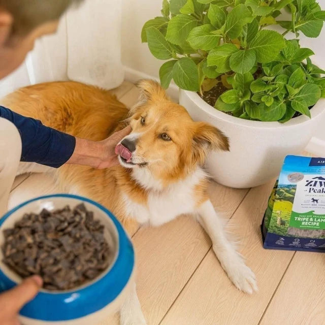 【ZIWI 巔峰】經典系列96%鮮肉狗糧-鹿肉 1kg (下單後3-5個工作天出貨)