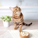 【Hyperr超躍】貓咪立方凍乾零食 30g (下單後3-5個工作天出貨)