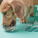 金毛犬正吃盛有食品的透明碗旁放有綠白色益生菌包裝盒和三包益生菌粉劑包.