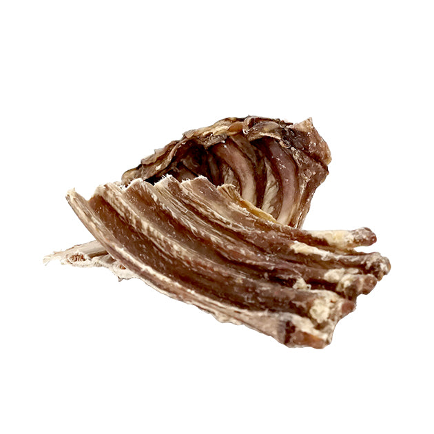 【KiWiPet】小牛肋排 80g (下單後3-5個工作天出貨)