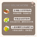 OWAY安迪羅巴彈力護髮劑成分說明，含生物動力甘草萃取、有機金縷桃萃取與野生安迪羅巴巴油圖示.