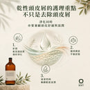 介紹乾性頭皮屑的護理重點，說明日常護理不應只集中清除表面頭皮屑，淨化同時亦要兼顧頭皮舒適、平衡及適度滋潤。