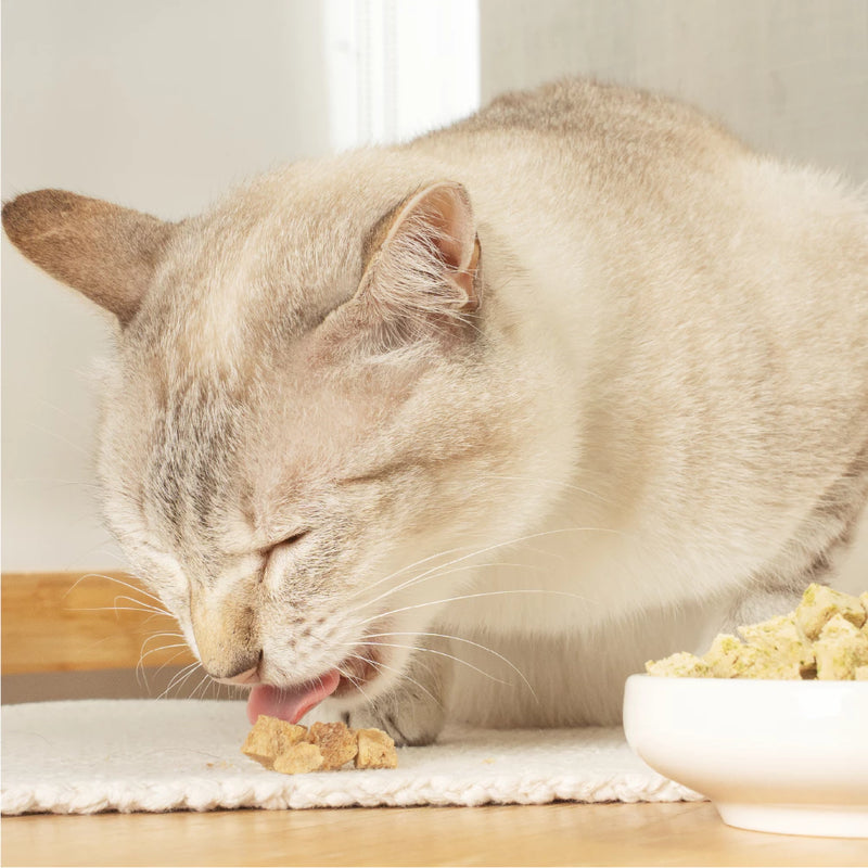 【怪獸部落】爽爽酷肉粒 野味凍乾零食 20g (下單後3-5個工作天出貨)