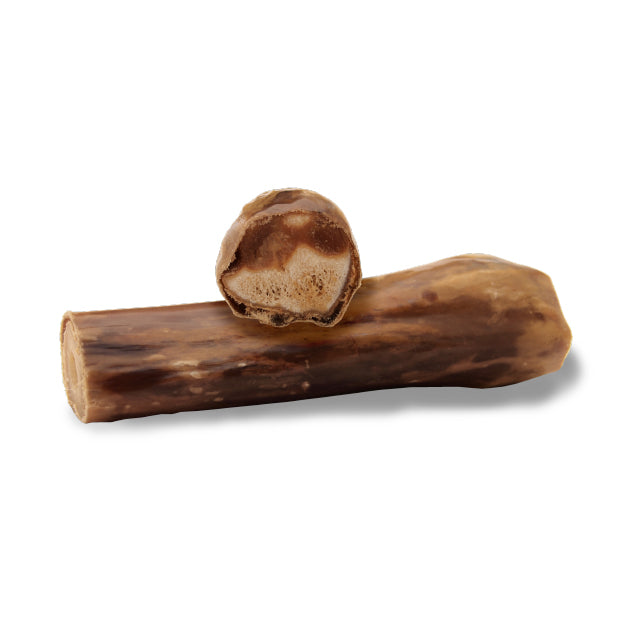 【ZIWI巔峰】鹿小腿 S號 乖狗狗天然潔牙骨 1入 (下單後3-5個工作天出貨)