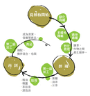 【璞草園】 保濕身體乳 200ml  MIT 台灣製造 (下單後3-5個工作天出貨)